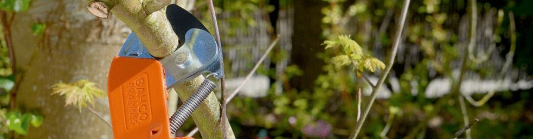 Forbici per siepi Bahco Le migliori forbici per siepi manuali Bahco in offerta su AgriEuro