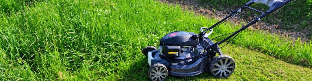 I migliori Tagliaerba - Rasaerba BlackStone in offerta su AgriEuro