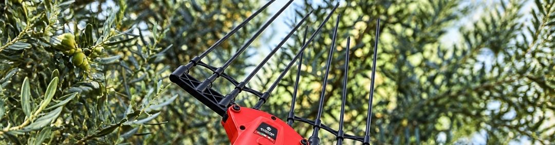 I migliori abbacchiatori scuotitori per olive Blue Bird in offerta su AgriEuro