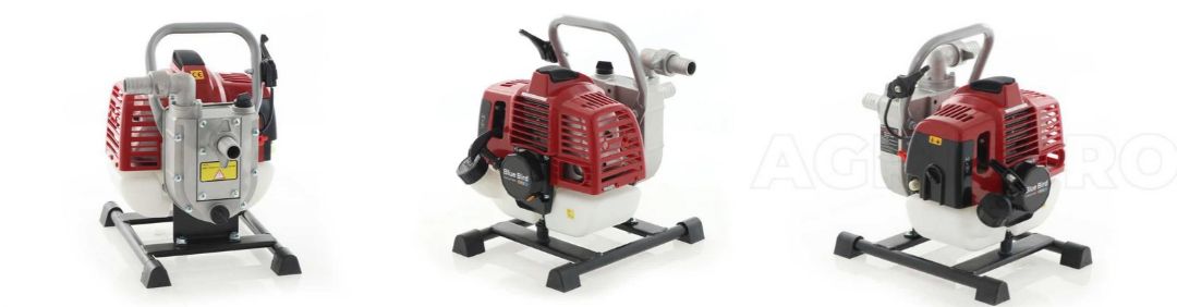 Le migliori motopompe irrigazione Blue Bird in offerta su AgriEuro