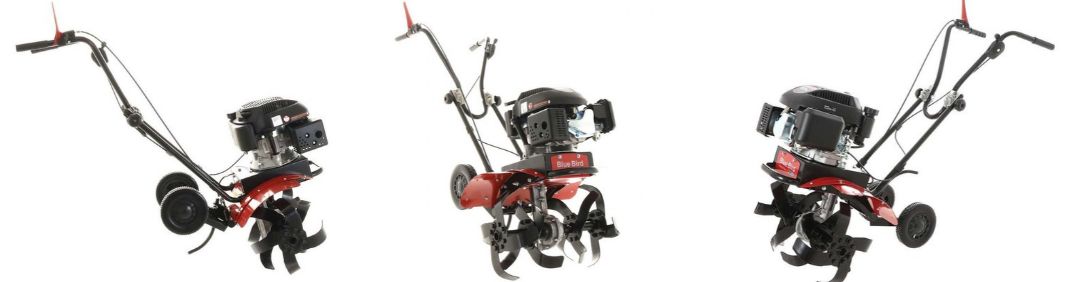 Le migliori motozappe Blue Bird in offerta su AgriEuro