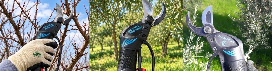 Le migliori forbici pneumatiche Campagnola in offerta su AgriEuro