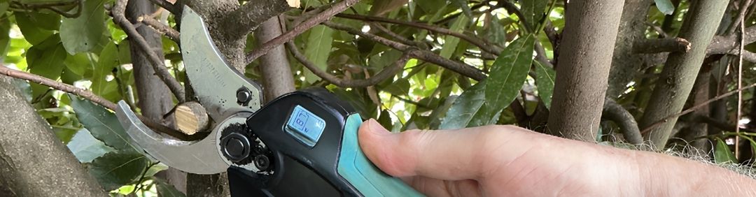 Le migliori forbici da potatura a batteria Campagnola in offerta su AgriEuro