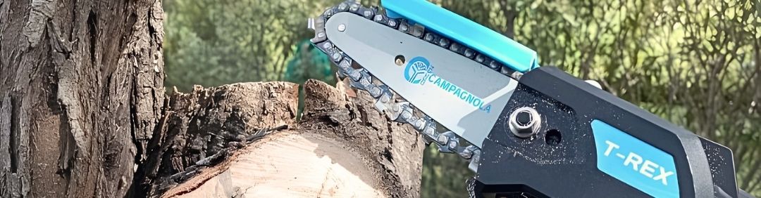 I migliori potatori Campagnola in offerta su AgriEuro