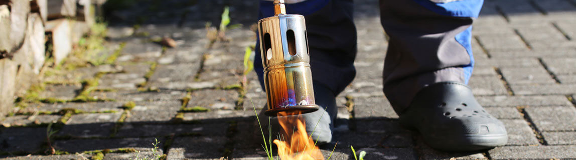 Bruciatori diserbanti ecologici a gas online su Agrieuro Bruciatori diserbanti ecologici a gas disponibili online;