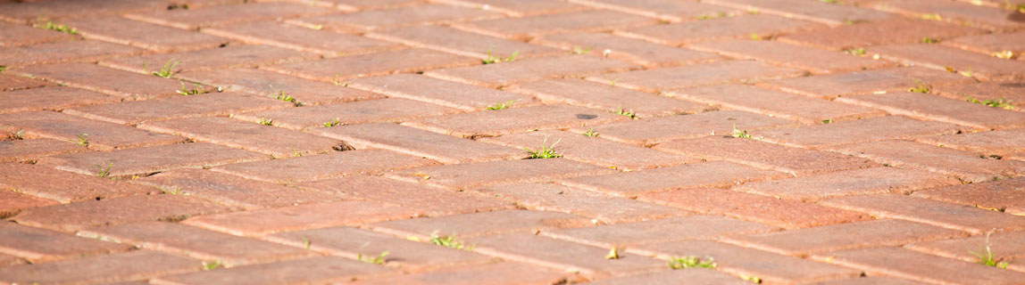 Pulisci fughe pavimenti per esterno su Agrieuro Pulisci fughe per pavimenti in vendita;