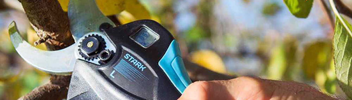 Le migliori Forbici Elettriche a Batteria con Asta di Prolunga da potatura in offerta su AgriEuro
