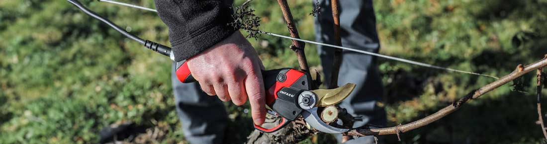 Scopri le migliori offerte su Forbici da potatura elettriche a batteria!