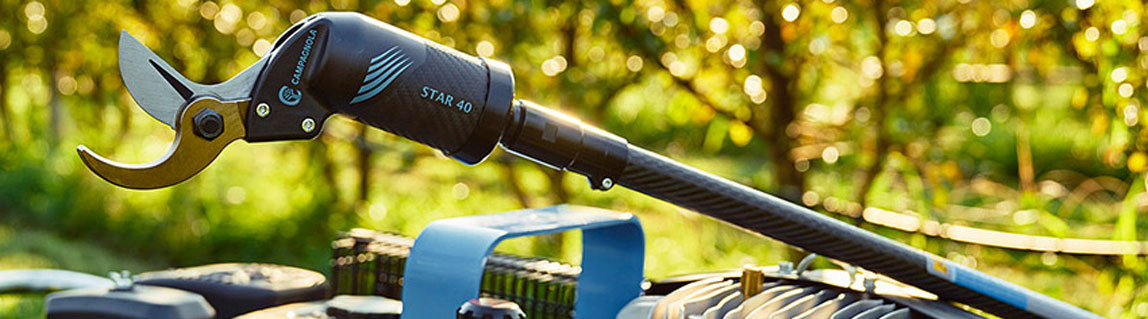 Le migliori Forbici ad aria compressa per asta di prolunga telescopica o fissa in offerta su AgriEuro!