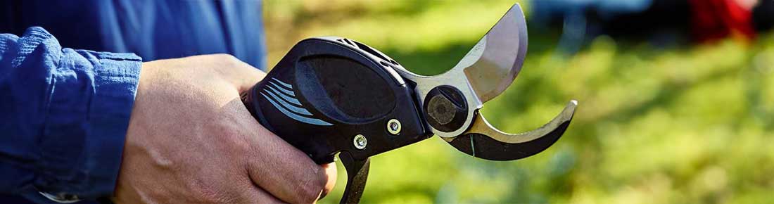 Scopri le migliori offerte sulle Forbici pneumatiche per potatura di AgriEuro!