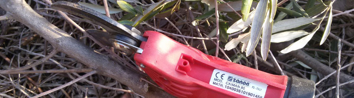 Le migliori Forbici Pneumatiche da potatura a Uso Manuale in offerta su AgriEuro!