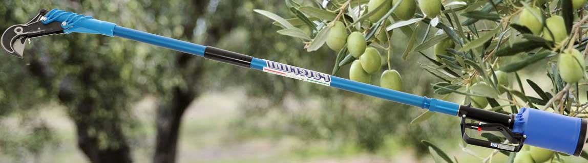 I migliori Forbicioni troncarami pneumatici con asta di prolunga professionali in offerta su AgriEuro!