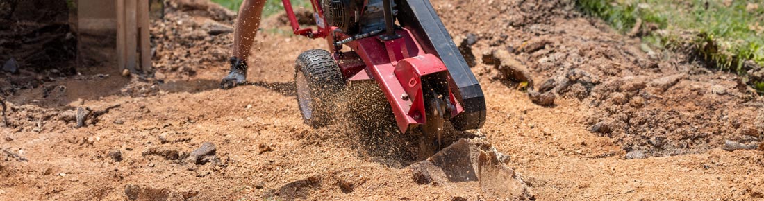 Scopri le migliori offerte di AgriEuro sulle fresaceppi!
