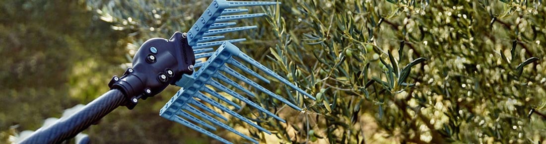 Scopri le offerte di AgriEuro sui migliori abbacchiatori e scuotitori per olive
