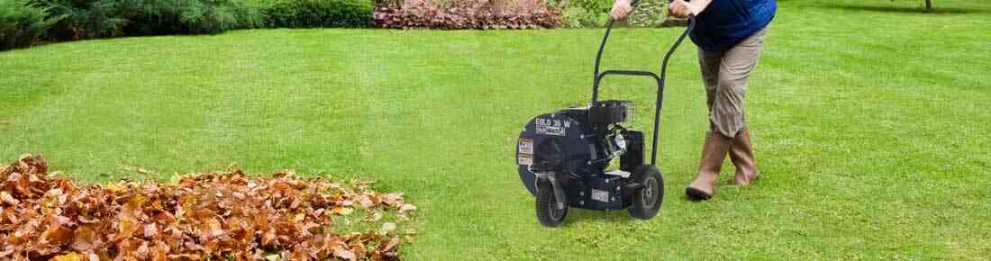 I migliori Soffiatori a scoppio professionale su ruote in offerta su AgriEuro