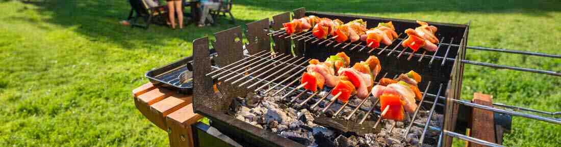 I migliori BBQ a carbonella da giardino - Barbecue a carbone in offerta su AgriEuro!