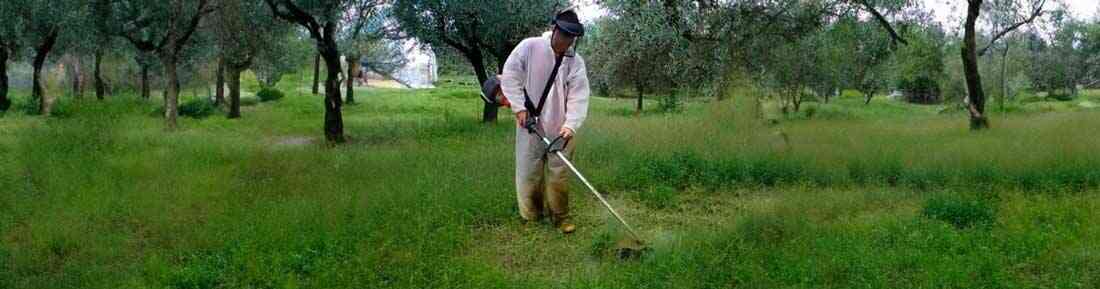 I migliori Decespugliatori a scoppio con cilindrata da 31 a 40 cc a 2 tempi in offerta su AgriEuro