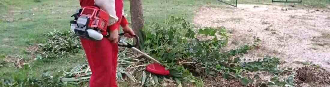 I migliori Decespugliatori a scoppio professionali da 51 a 60 cc in offerta su AgriEuro