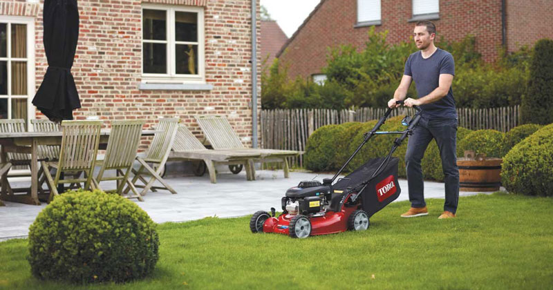 Toro Toro