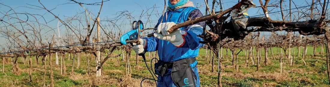 Scopri le offerte di AgriEuro sulle migliori legatrici per vigneti a batteria!
