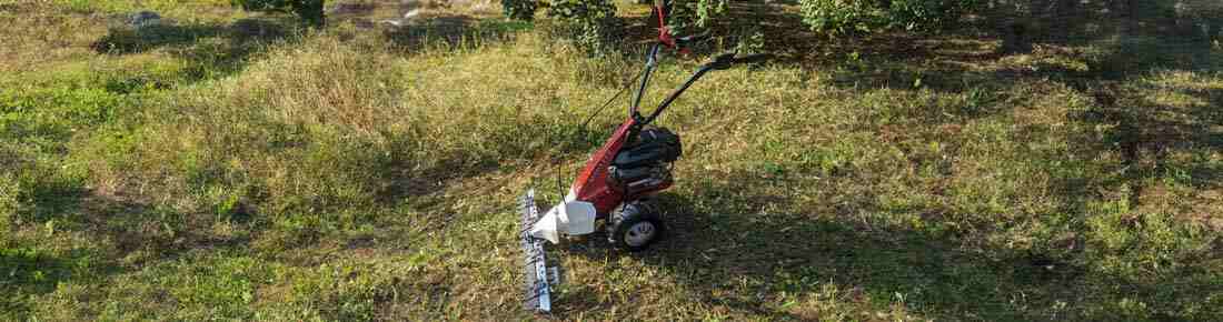Le migliori Falciatrici a scoppio multifunzione con movimento standard e trasmissione a cinghia in offerta su AgriEuro