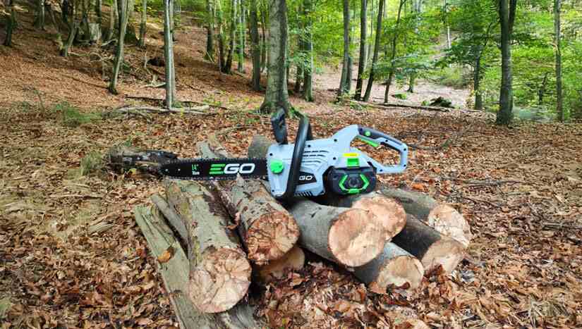 Scopri le offerte di AgriEuro sulle migliori Motoseghe a batteria