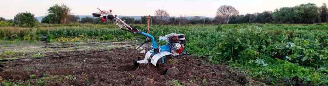 Le migliori Motozappe di serie pesante con cambio ad ingranaggi in offerta su AgriEuro