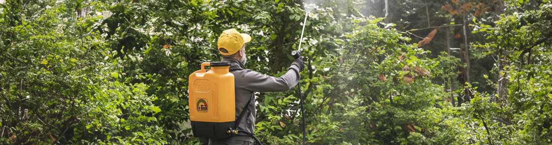 Scopri le offerte sulle migliori pompa Irroratrici Elettriche e a Batteria di AgriEuro!