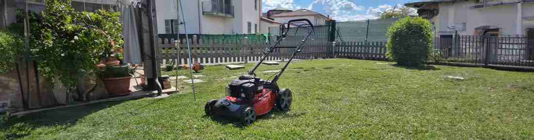 I migliori Tagliaerba a con motore a scoppio trazionati standard