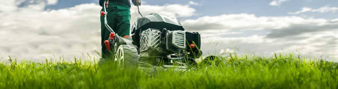 I migliori Tagliaerba a Scoppio in offerta su AgriEuro