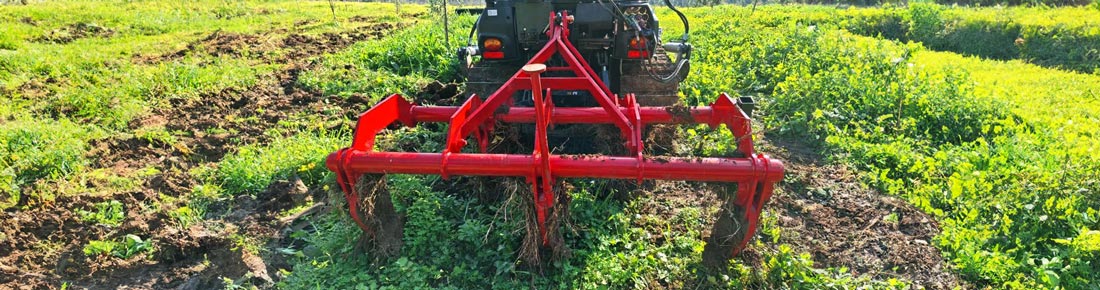 Scopri le migliori offerte di Agrieuro per Ripuntatore Agricolo per scarificatura!