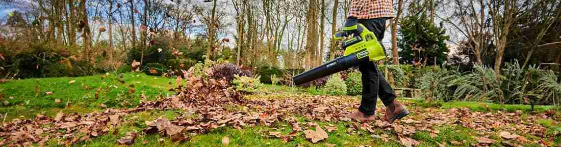 I migliori Soffiatori a batteria a mano in offerta su AgriEuro