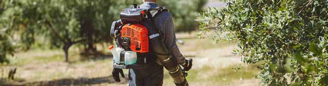 I migliori Soffiatori a scoppio professionali a spalla/a zaino in offerta su AgriEuro