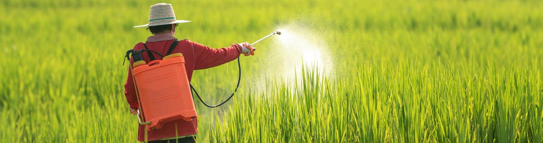 Scopri le offerte sulle migliori solforatrici a spalla o impolveratori di AgriEuro!