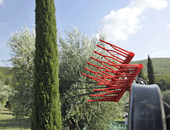 Abbacchiatore CASTELLARI Abbacchiatore CASTELLARI