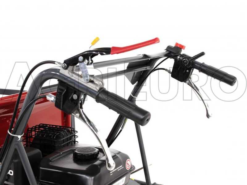 GeoTech Pro GeoPorter 330E BS - Minitransporter cassone estensibile 300Kg