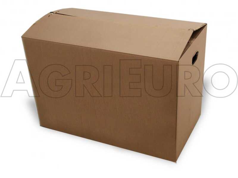Eurosystems Z2 RM - Motozappa a benzina 4 HP - Motore Loncin 123 T