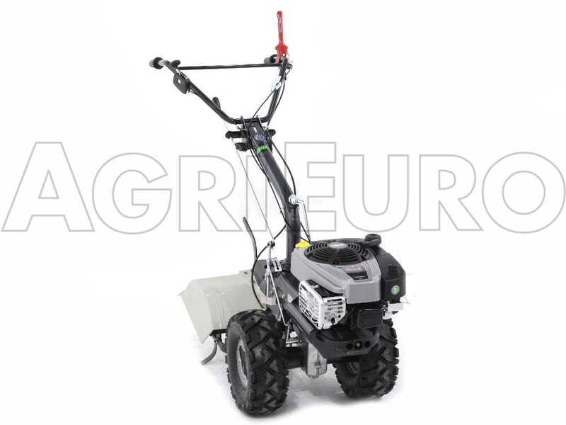 Eurosystems TM 70 RB EVO - Motocoltivatore benzina - Briggs&amp;Stratton 850E I/C