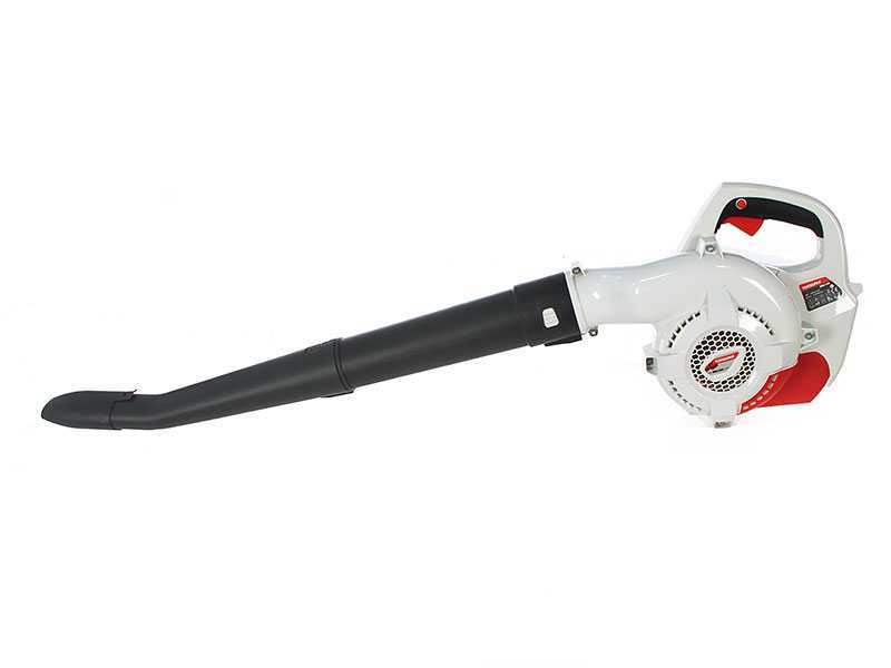 Topsun - Soffiatore per foglie a batteria 36V 2Ah