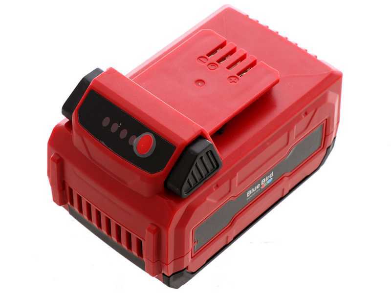 Blue Bird R3S - Tagliasiepi su asta di prolunga telescopica elettrico a batteria 40V/2,5Ah