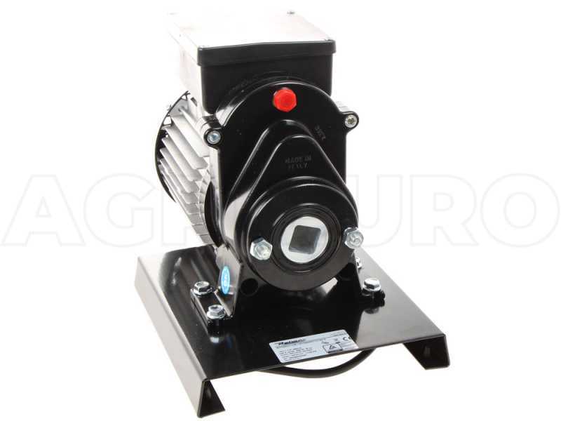 Reber 9602N-8900N N.5 - Grattugia elettrica - Motore a induzione - 600W