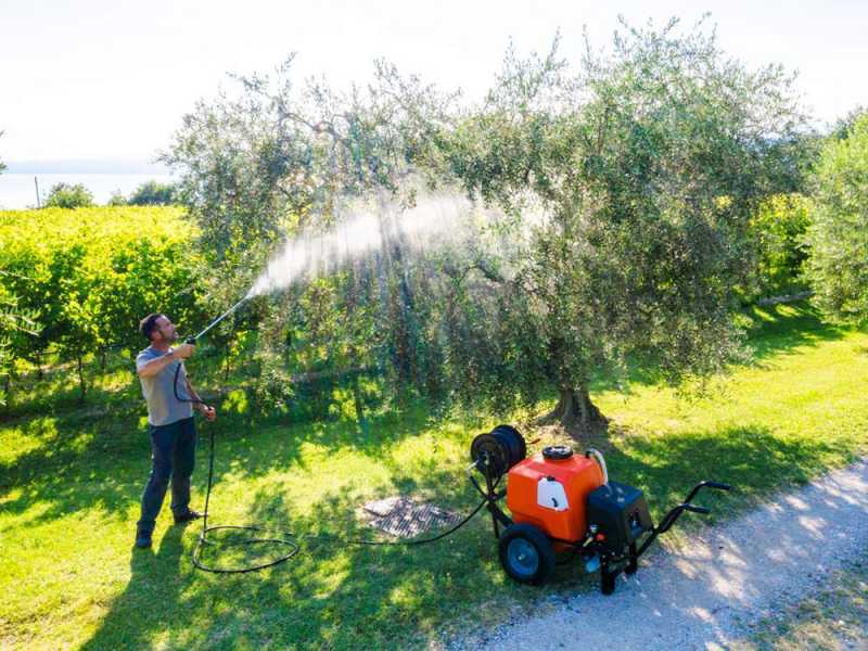 Stocker Art. 304 - Pompa irroratrice elettrica carrellata con barra d'irrigazione - 100L - 12V