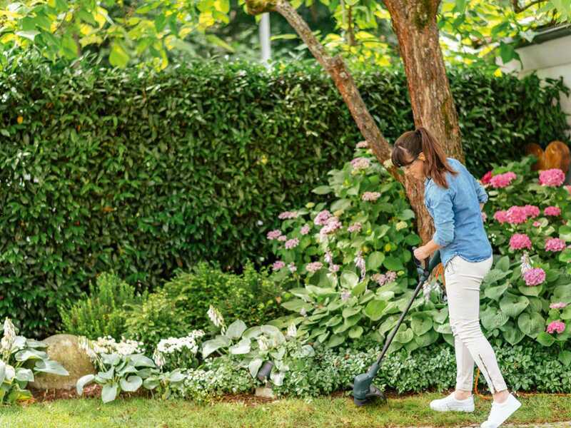 Bosch EasyGrassCut 23 - Tagliabordi Elettrico - 280 W