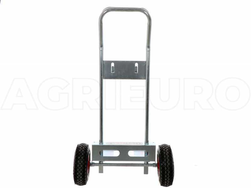 Zanon Falcon AL 200/F - Abbacchiatore elettrico a batteria - 170/250 - Asta telescopica