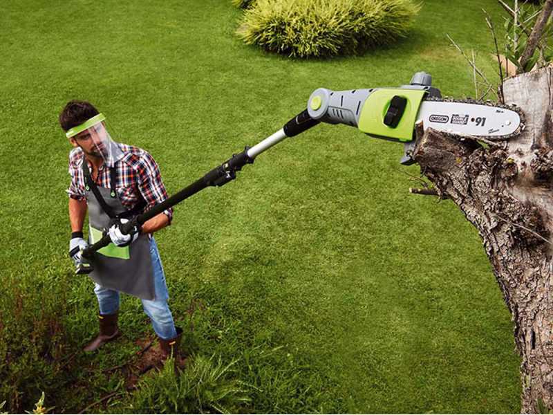 Verdemax PTT20 - Kit potatore e tagliasiepe telescopico - Batteria 20V 2Ah