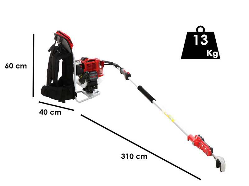 Blue Bird TJ 45 - Scuotitore con gancio a scoppio cm 180 motore a zaino Kawasaki - Scuotiolive