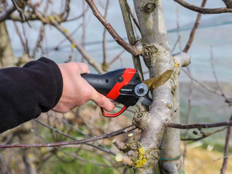Infaco F3020 - Forbice elettrica da potatura su asta - 36V 3Ah - 147.5/212 cm