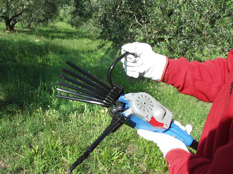 Lisam Oliwatt 2 - Abbacchiatore Elettrico a batteria - Con denti in Nylon - 280 cm - Asta Fissa