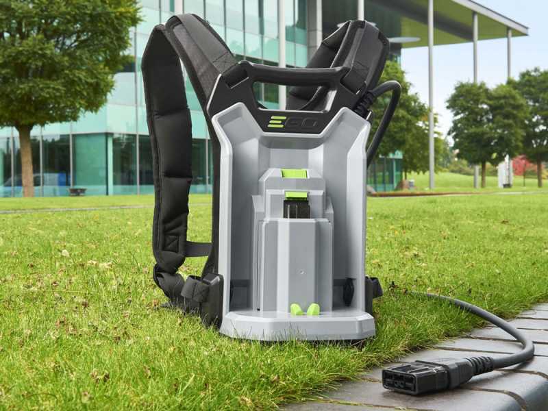 EGO Lotus - Abbacchiatore 56V - Batteria da 10Ah - Asta Fissa
