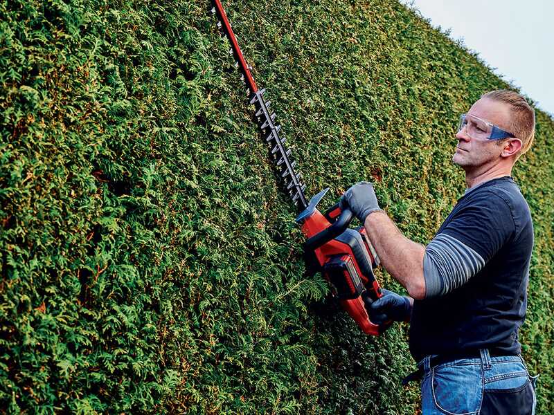 Einhell GE-CH 36/65 Li - Tagliasiepi a batteria - 2x 18V 5.2Ah